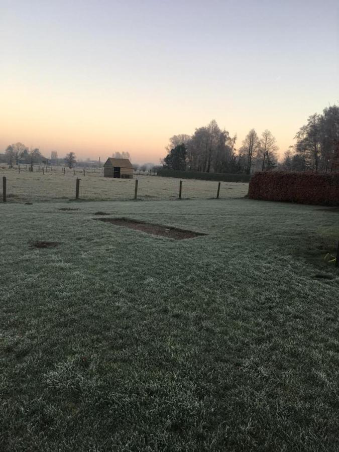 B&B De Pethaan Wielsbeke Exteriör bild